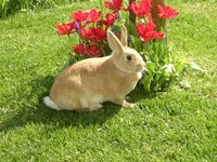 lucy0508.jpg