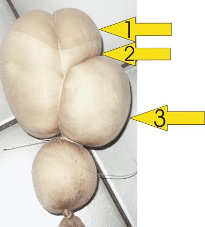 Puppenkursversuch2.jpg