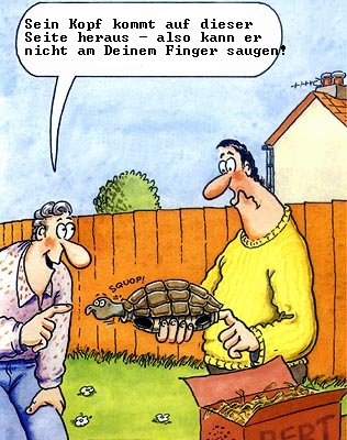 schildkroete2.jpg