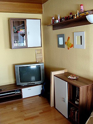 4730305.jpg