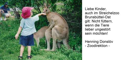 streichelzoo2.jpg