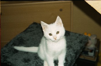 Scannen0016.jpg