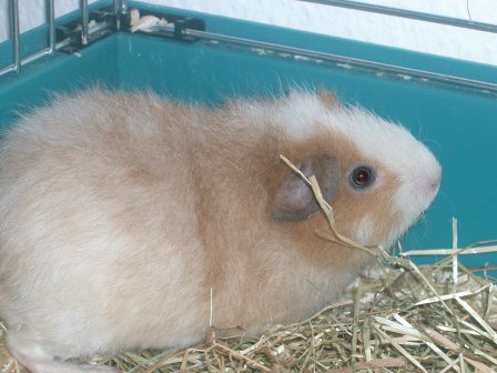 teddy3.jpg