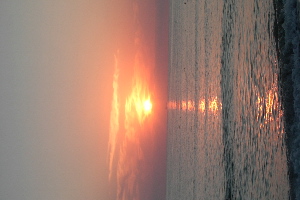 PIC_0298SONNE.jpg