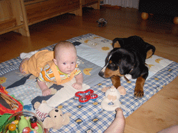 TIMO4.gif