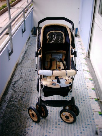 buggy1.jpg