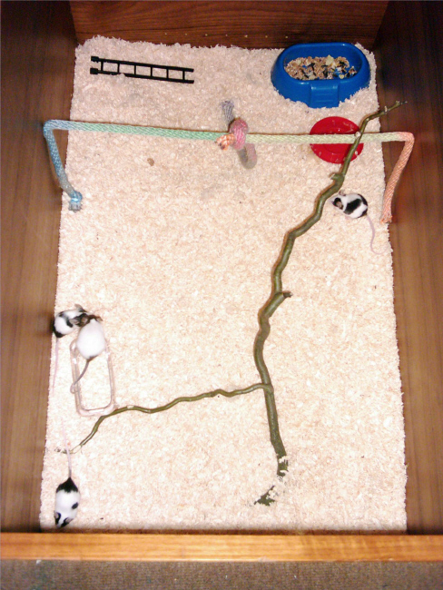 m1.jpg
