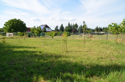 15364354vi.jpg