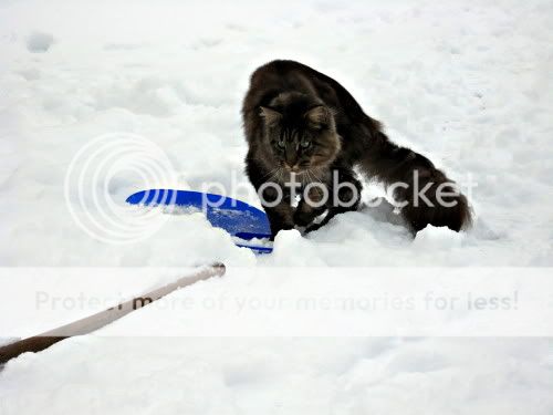 schnee_1-1.jpg
