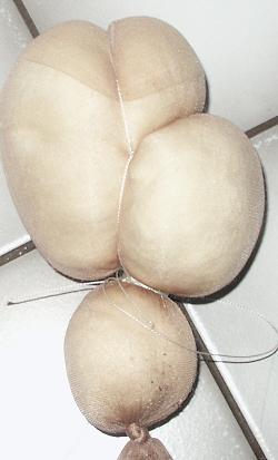 PICT0562.JPG