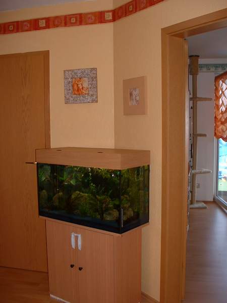 RENODA%20%285%29.JPG