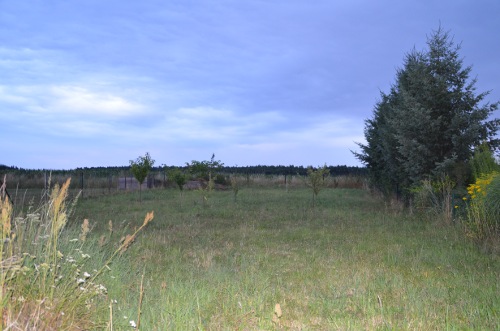 15360989gi.jpg