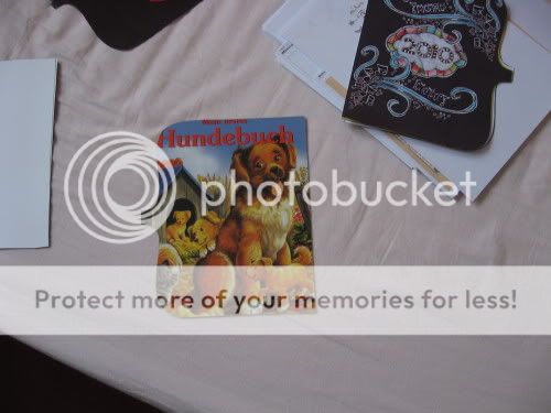 IMG_8149.jpg