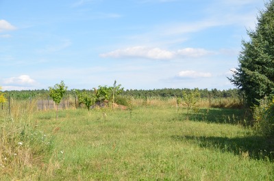 15364356vw.jpg