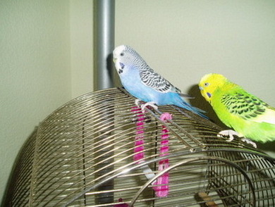 P1010003.JPG