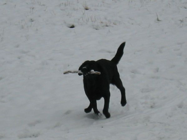 137-3701_IMG.jpg