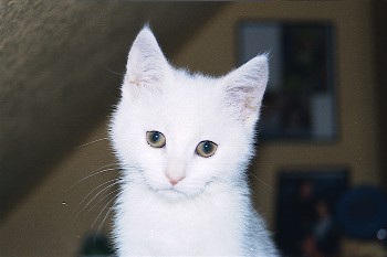 Scannen0025.jpg