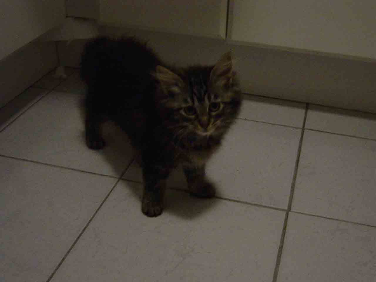 Dsc00748.jpg