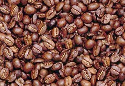 kopf_mann_kaffee.jpg