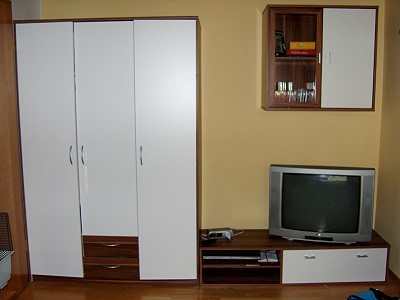 4730309.jpg