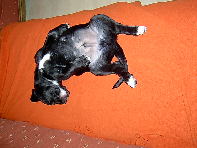 IM000260.JPG