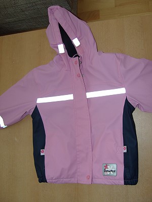 5049369.jpg