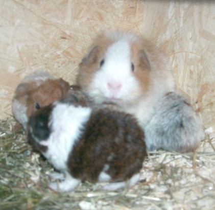 mamababy2.jpg