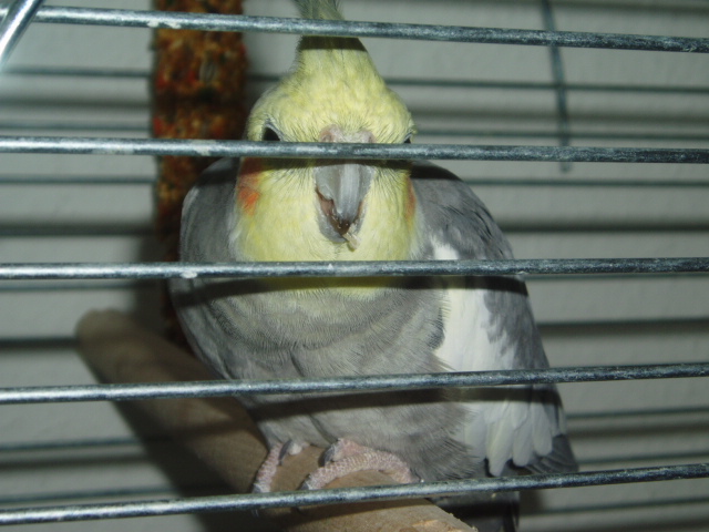 P1010034.JPG