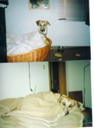 Scan0003.jpg