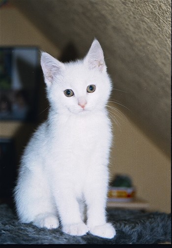 Scannen0026.jpg