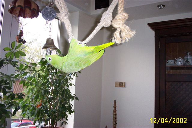 DCP_0376.jpg