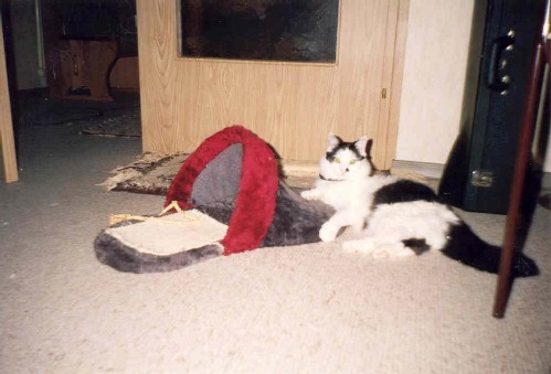 Gismo%204.jpg
