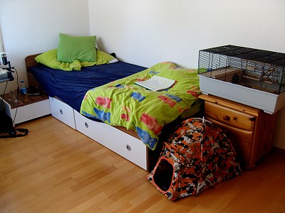 4730304.jpg
