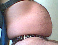 bauch1066.jpg