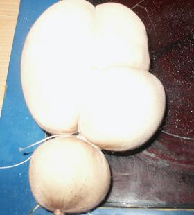 PICT0564.JPG