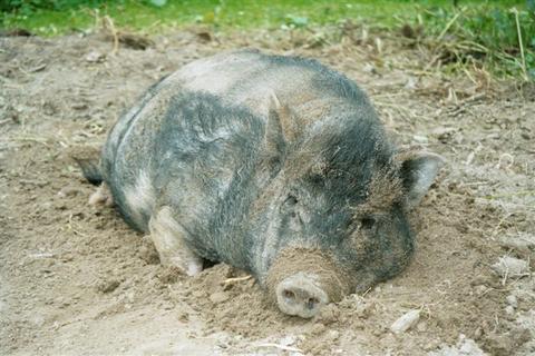 Margeheutebild11.jpg