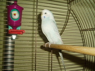 P10100.JPG