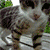 475978obg6bsnhr9.gif