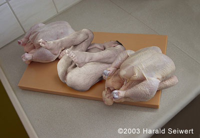 falsches_huhn.jpg