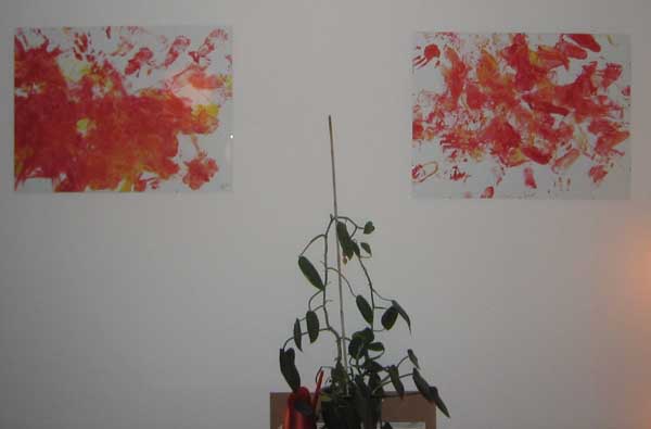 bild12.jpg