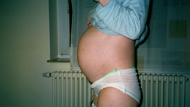 bild1.jpg