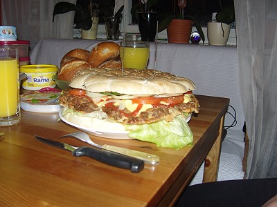 3642022.jpg