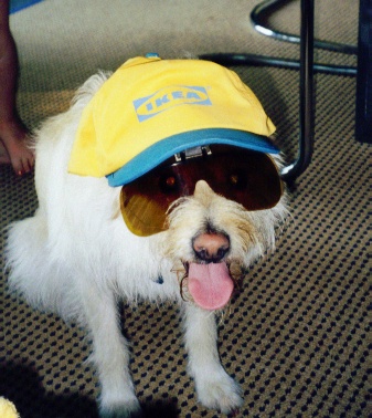 Pict0020.JPG