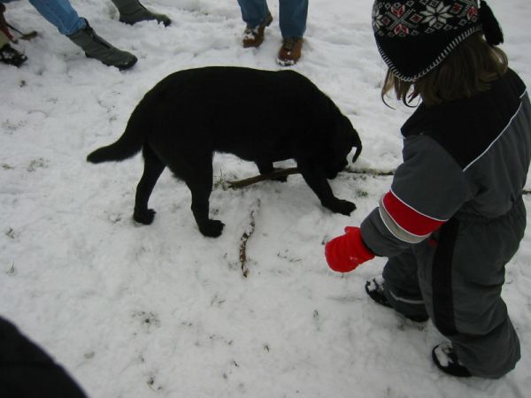 137-3710_IMG.jpg