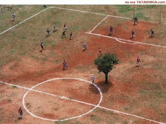 foot_2.jpg
