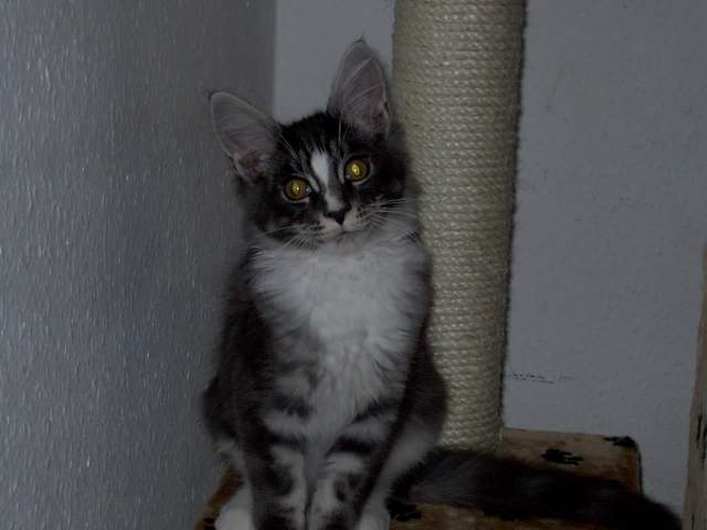charly7.JPG
