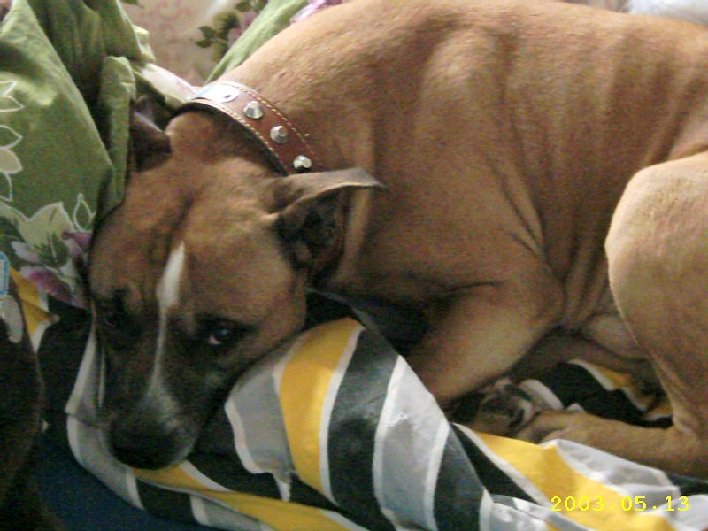 SAM%2005-03.JPG