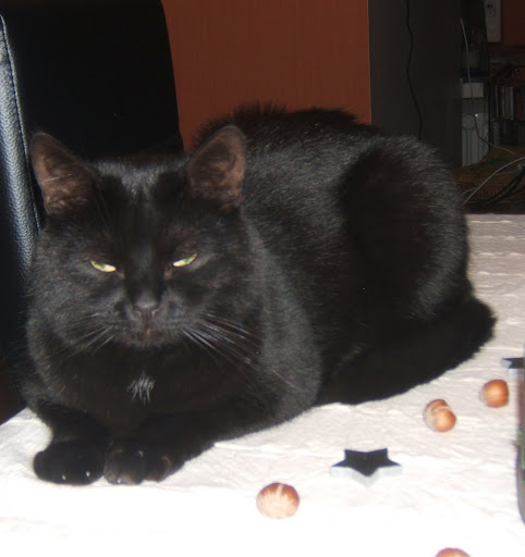 DSCF4615.JPG