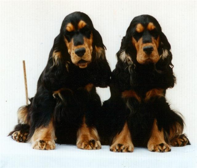 Ambra%20und%20Ursino%20%28Small%29.JPG