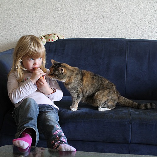 28092013VI.jpg